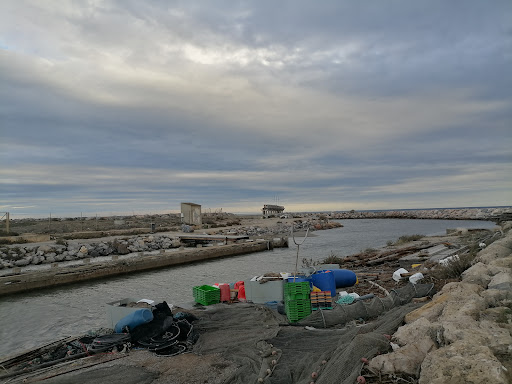 Huitres Leucate - Thumbnail