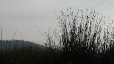 Photos of Laguna de la Herrera