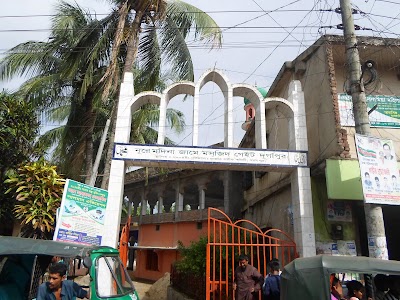 Photos of Nur-e Modina Jame Mosque
