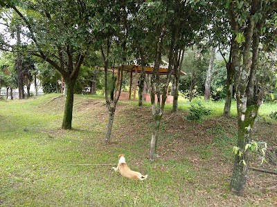 Photos of Sports Unit Villaconcha