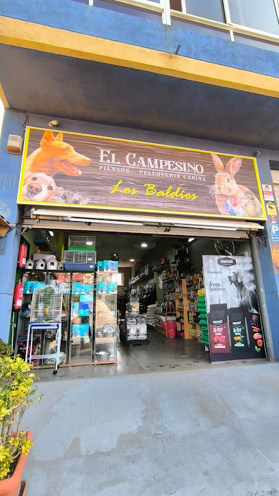 Piensos El Campesino Los Baldíos