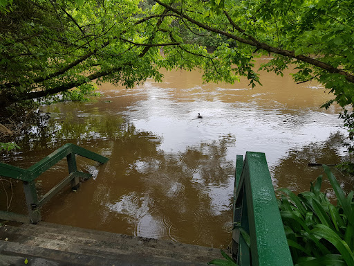 O'Connell Reserve - Visual