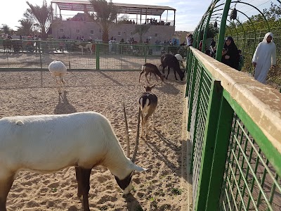 Photos of Virtus group farm