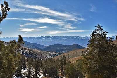 Ancient Bristlecone Pine Forest Visitor Center