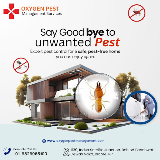 Oxygen Pest Management – Professional Pest Control Services in Indore