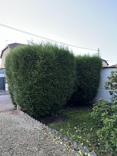 Photo de UNAVERDE PAYSAGE à Fouquières-lès-Lens (62740)