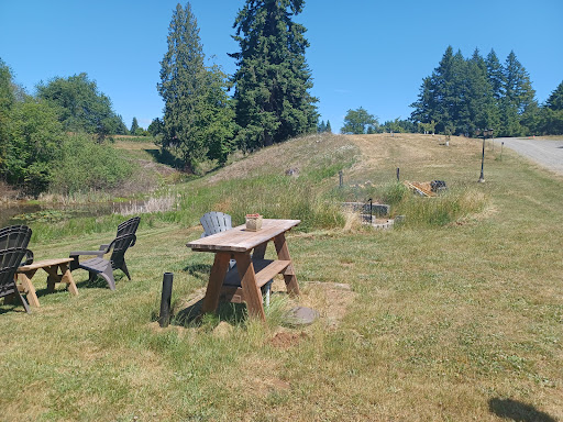 Stone Circle Cider - Visual