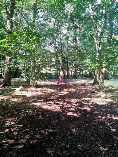 Tiny Tribe Outdoors - Visual