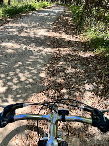 Wolf River Trail - Visual