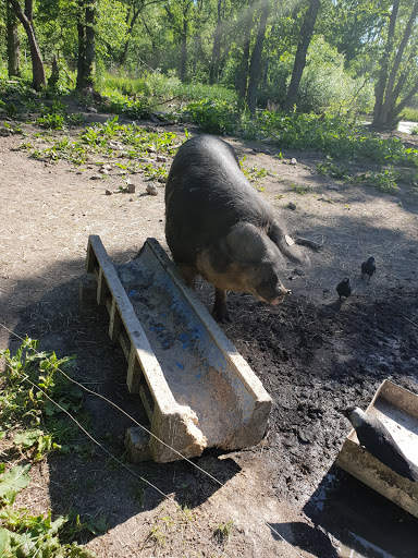 Skälby Lekplats - Thumbnail