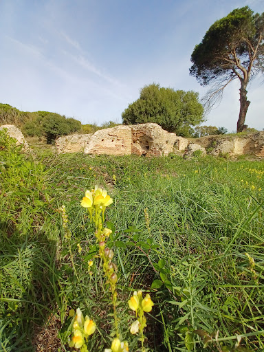 Antica villa Romana zona termale - Thumbnail