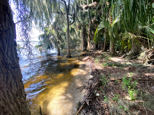 Orange Point - Welaka State Forest