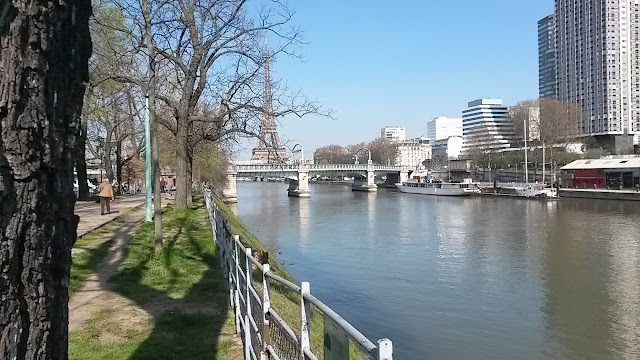 Île aux Cygnes