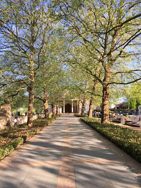 Cimetière Notre-Dame, Author: thania ulisses