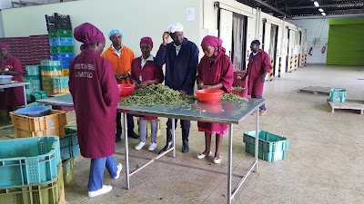 Photos of Bonded Groceries Ltd