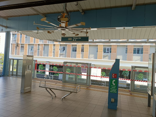 Cheng Lim LRT Station (SW1)