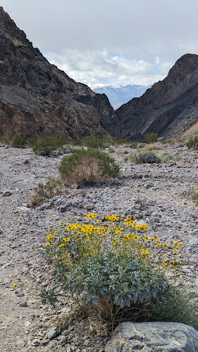 Death Valley Wilderness - Thumbnail