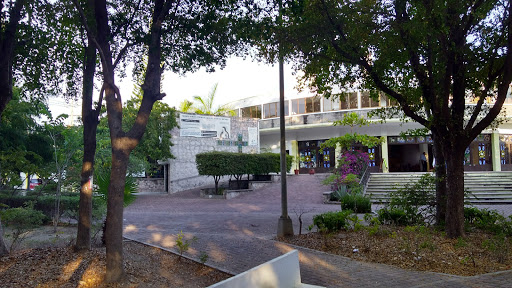pajilla Park Gallery - Mexico