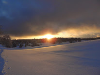 Elsa Delacroix, Astrologue Conseil à La Pesse