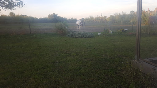 Photo de Les Roches à Renards à Huismes (37420)