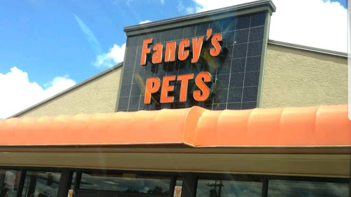 Fancy's Pets - Visual