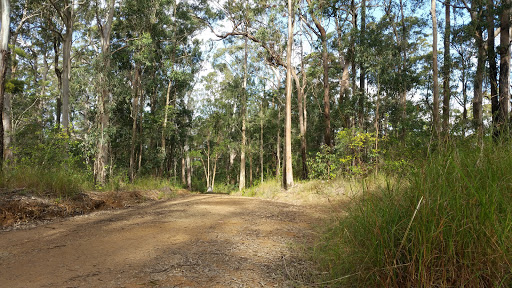 Scrub Road remote bush camp - Thumbnail