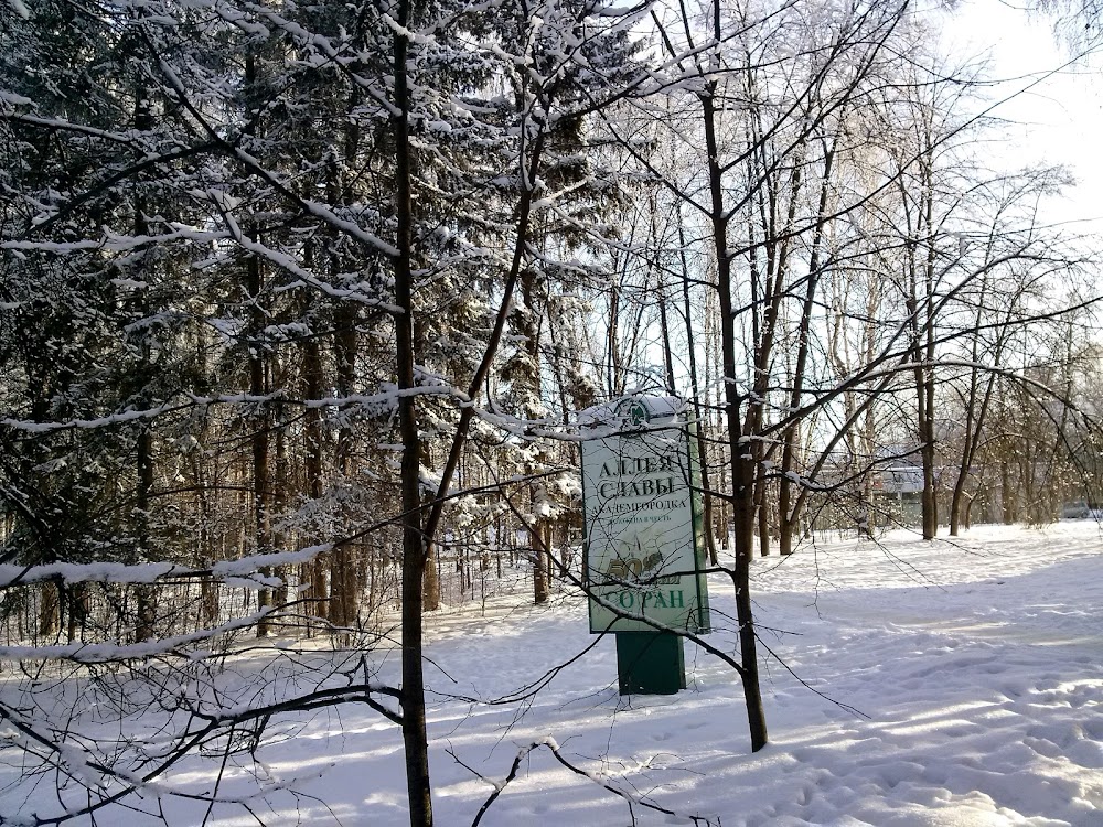 Академгородок новосибирск военная