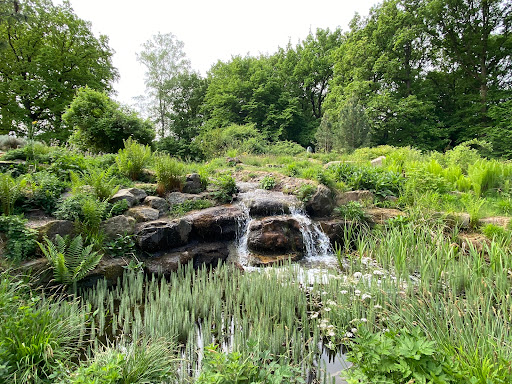 Foundation Hortus Nijmegen - Thumbnail