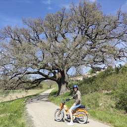 Photo n°14 de 2Temps en Temps - Location de Vélo et Mobylette à Goult (Service de location de vélo)
