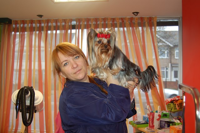 Dog Grooming Rainham Salon-Bona&Beauty