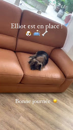 Photo n°18 de La Belle Verte : Shop CBD Vente de Fleurs, Résines, Huiles, Gélules et E-liquides CBD et La Sobrerie, Cave sans alcool. à Bagnolet (Boutique de cigarettes électroniques)