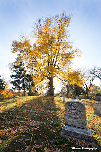 Wauwatosa Cemetery - Thumbnail