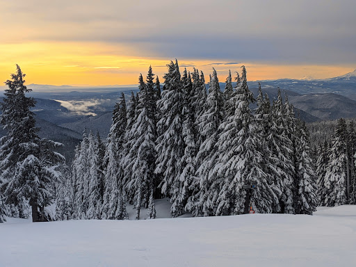 Mt. Hood Meadows - Thumbnail
