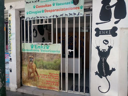 Consultorio veterinario Enki