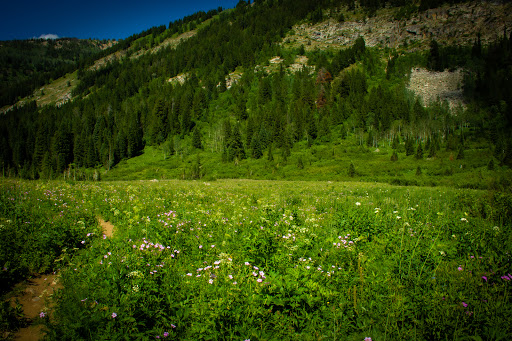 Teton Canyon Trail Head Gallery - United States