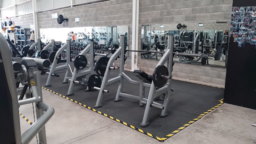 WORKOUT BLACK - Visual
