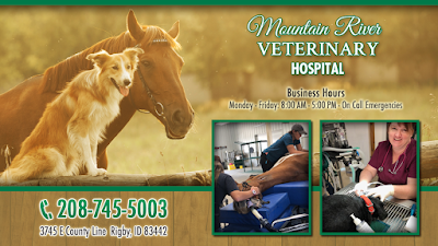 Mountain River Veterinary Hospital