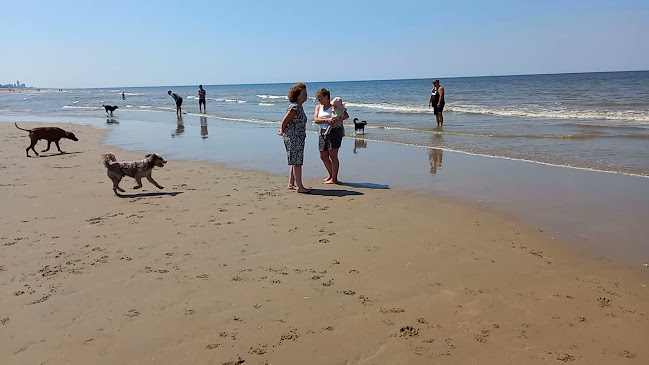 Beoordelingen van Parnassia aan Zee - Strandtent Bloemendaal in Overveen - Pizzeria