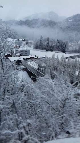 Hôtel-Restaurant Le Cerf - Aigle