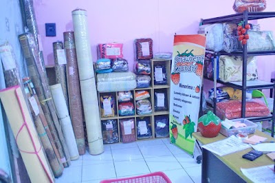 Photos of Strawberry Laundry