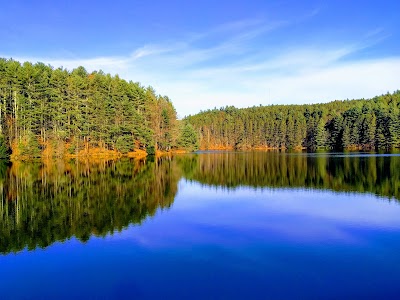 Brattleboro Watershed Forest