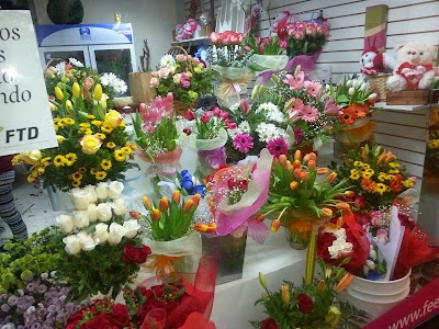 Photos of Feel florist Flowers