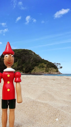 Photo 1 - Le Pinocchio
