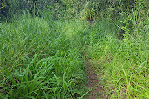 Holmes Jungle Nature Park, Darwin, Australia