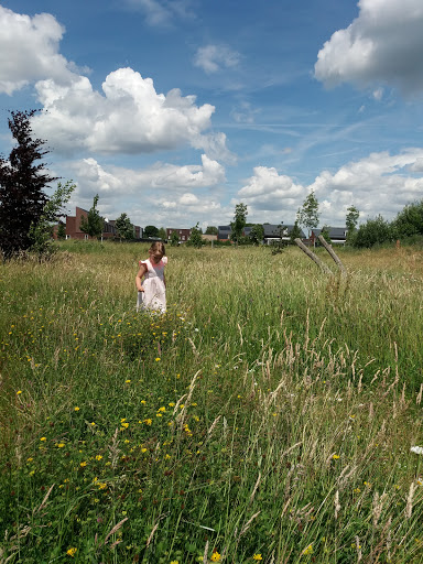 Zuiderpark - Thumbnail