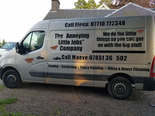 THE ANNOYING LITTLE JOBS COMPANY