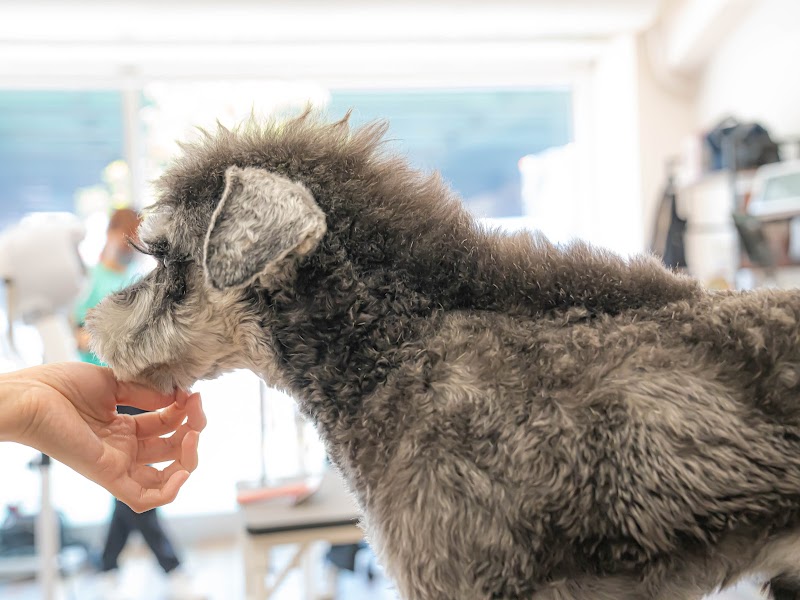 UONLY（ウォンリー）