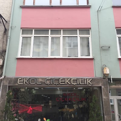 Photos of Ekol &Ccedil;i&ccedil;ek&ccedil;ilik