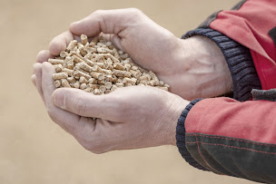 Photo n°4 de Pohu ETS à Sèvremoine (Jardinerie)