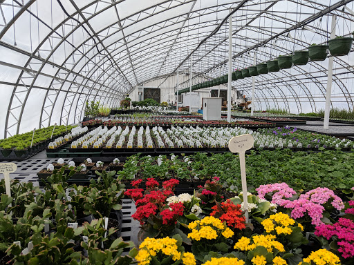 Spider Web Gardens - Thumbnail
